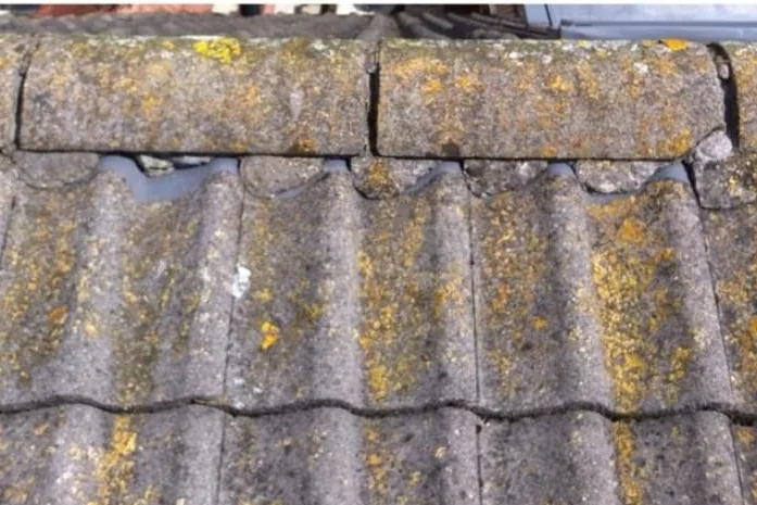 Roof Cleaning & Moss Removal in Gloucester